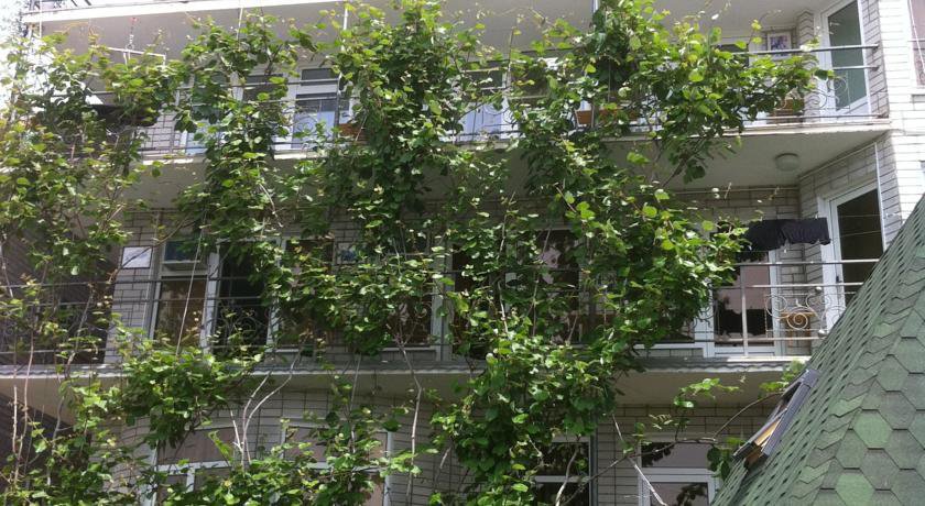Гостиница Гостевой Домик Иван да Марья Лазаревское-16